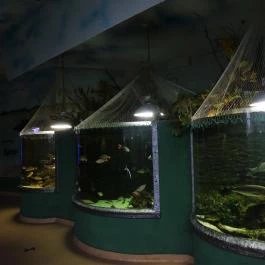 Tropicarium Budapest - Egyéb