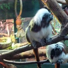 Tropicarium Budapest - Egyéb