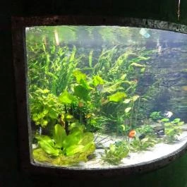 Tropicarium Budapest - Egyéb