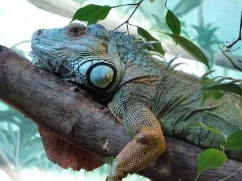 Tropicarium Budapest