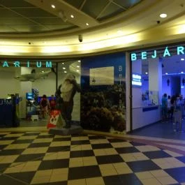 Tropicarium Budapest - Egyéb