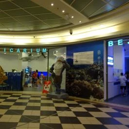 Tropicarium Budapest - Egyéb