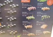 Tsuru Sushi - Árkád Budapest