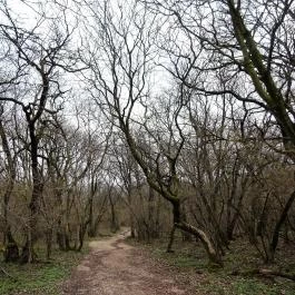 Turul Emlékmű, Tatabánya - 