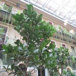 Twentysix Budapest - Belső