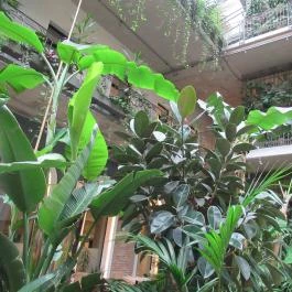 Twentysix Budapest - Belső