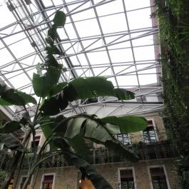 Twentysix Budapest - Belső