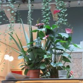 Twentysix Budapest - Belső