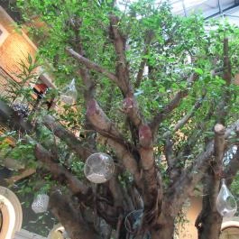 Twentysix Budapest - Belső