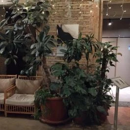 Twentysix Budapest - Belső