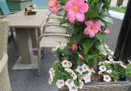 Twinz Coffee & Kitchen Budapest