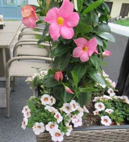 Twinz Coffee & Kitchen