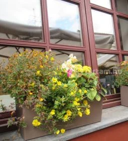 Művész Étterem és Bisztró