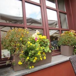 Művész Étterem és Bisztró, Szentendre - Egyéb