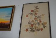 Újpesti Lepkemúzeum Alapítvány Budapest