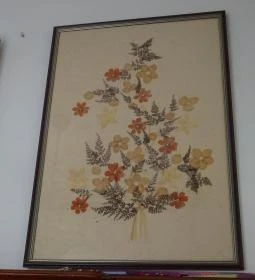 Újpesti Lepkemúzeum Alapítvány