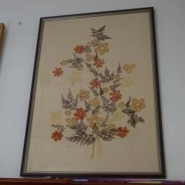 Újpesti Lepkemúzeum Alapítvány Budapest - Egyéb