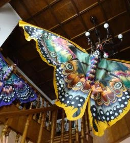 Újpesti Lepkemúzeum Alapítvány