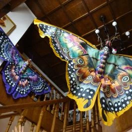 Újpesti Lepkemúzeum Alapítvány Budapest - Egyéb