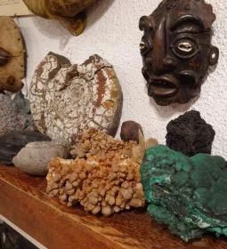 Újpesti Lepkemúzeum Alapítvány