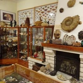 Újpesti Lepkemúzeum Alapítvány Budapest - Egyéb