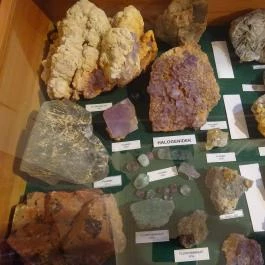 Újpesti Lepkemúzeum Alapítvány Budapest - Egyéb