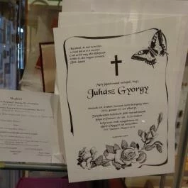 Újpesti Lepkemúzeum Alapítvány Budapest - Egyéb