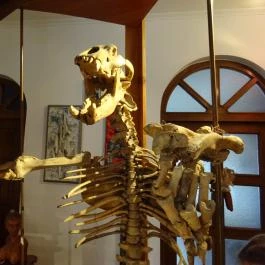 Újpesti Lepkemúzeum Alapítvány Budapest - Egyéb