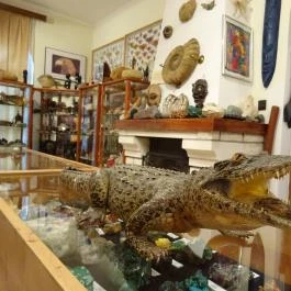 Újpesti Lepkemúzeum Alapítvány Budapest - Egyéb