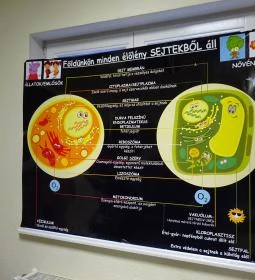 Uránia Csillagvizsgáló