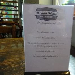 Ürömi Hütte, Üröm - Belső