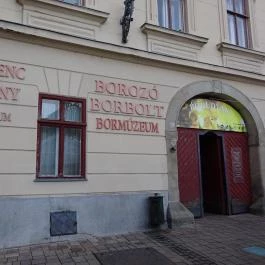 Váci Curia Borház & Borgyűjteménytár Vác - Külső kép