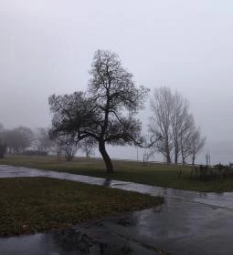 Váci Erzsébet sétány