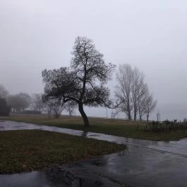 Váci Erzsébet sétány Vác - Egyéb