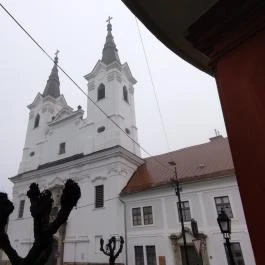 Váci Szent Anna Piarista templom Vác - Egyéb