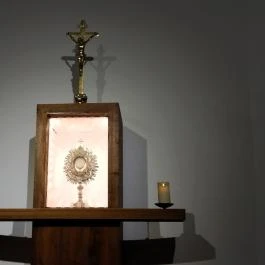 Váci Szent Anna Piarista templom Vác - Egyéb