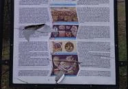 Váci vár maradványai Vác