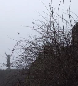 Váci vár maradványai