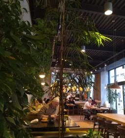 Vaj - József Attila utca