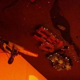 Vakvarjú Étterem - Pest Budapest - Belső