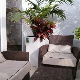 Vanilin Cukrászda - Kucsma utca, Budapest - Belső