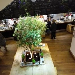 Vapiano Étterem - Belváros Budapest - Belső