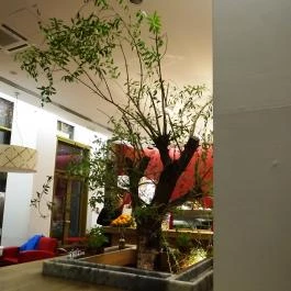 Vapiano Étterem - Belváros Budapest - Belső