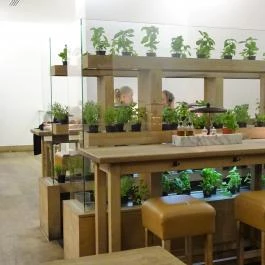 Vapiano Étterem - Belváros Budapest - Belső