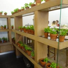 Vapiano Étterem - Belváros Budapest - Belső