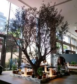 Vapiano Étterem - WestEnd City Center