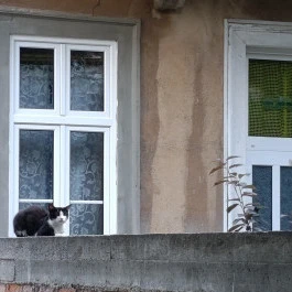 Várfalsétány Sopron - Külső kép