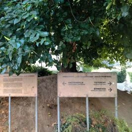 Várfalsétány Sopron - Egyéb