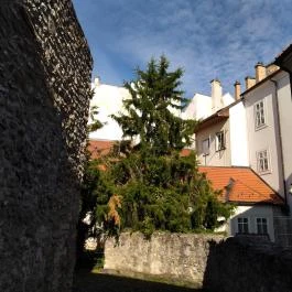 Várfalsétány Sopron - Egyéb