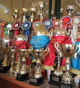 Varga Pékség & Cukrászda